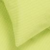 00-0017-SHADOW LIME