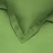 00-0252-IGUANA GREEN