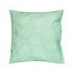 20-0458 LOGO-MINT