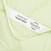 00-0126-LIME CREAM