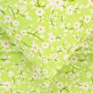 20-1735-SHADOW LIME