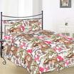 40-0756-BROWN