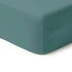00-0486-TEAL