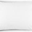 00-0000-0 OPTIC WHITE MON