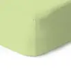 JERSEY-SHADOW LIME
