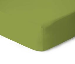 Trikotažinės paklodės su guma JERSEY JERSEY-LEAF GREEN