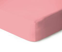 Fitted jersey sheets JERSEY JERSEY-TEA ROSE