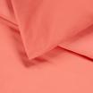 00-0282-HOT CORAL