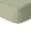 JERSEYBTL-PALE OLIVE